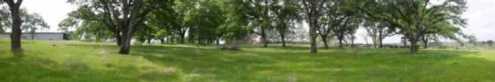 Lazy Oak Ranch - West Pasture Panorama